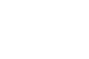 vdm-metals – Logo