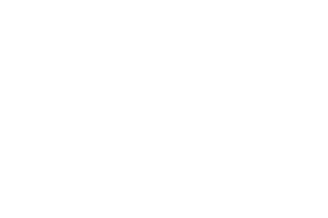 zf – Logo