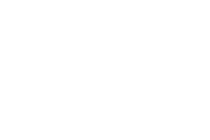 vtg – Logo