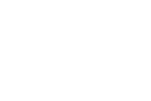 leoni – Logo