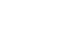 zeppelin – Logo