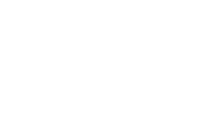 hartmann – Logo